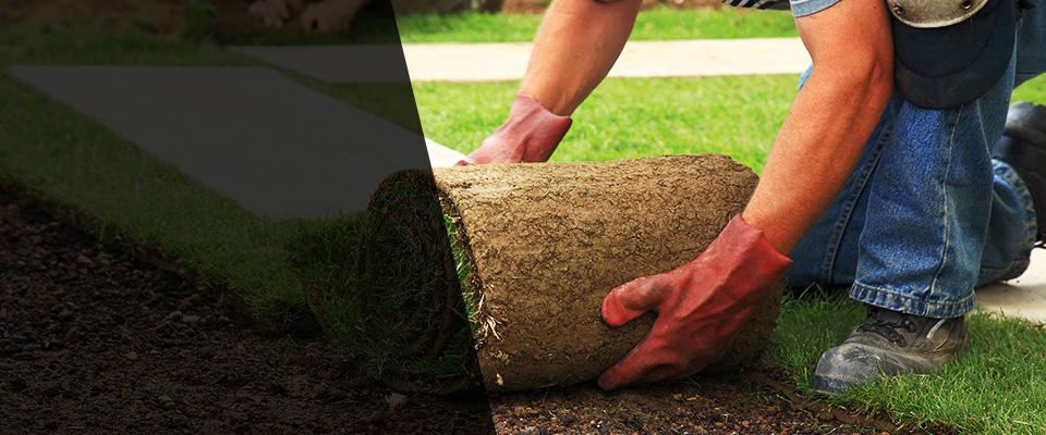 Vincennes Landscapers